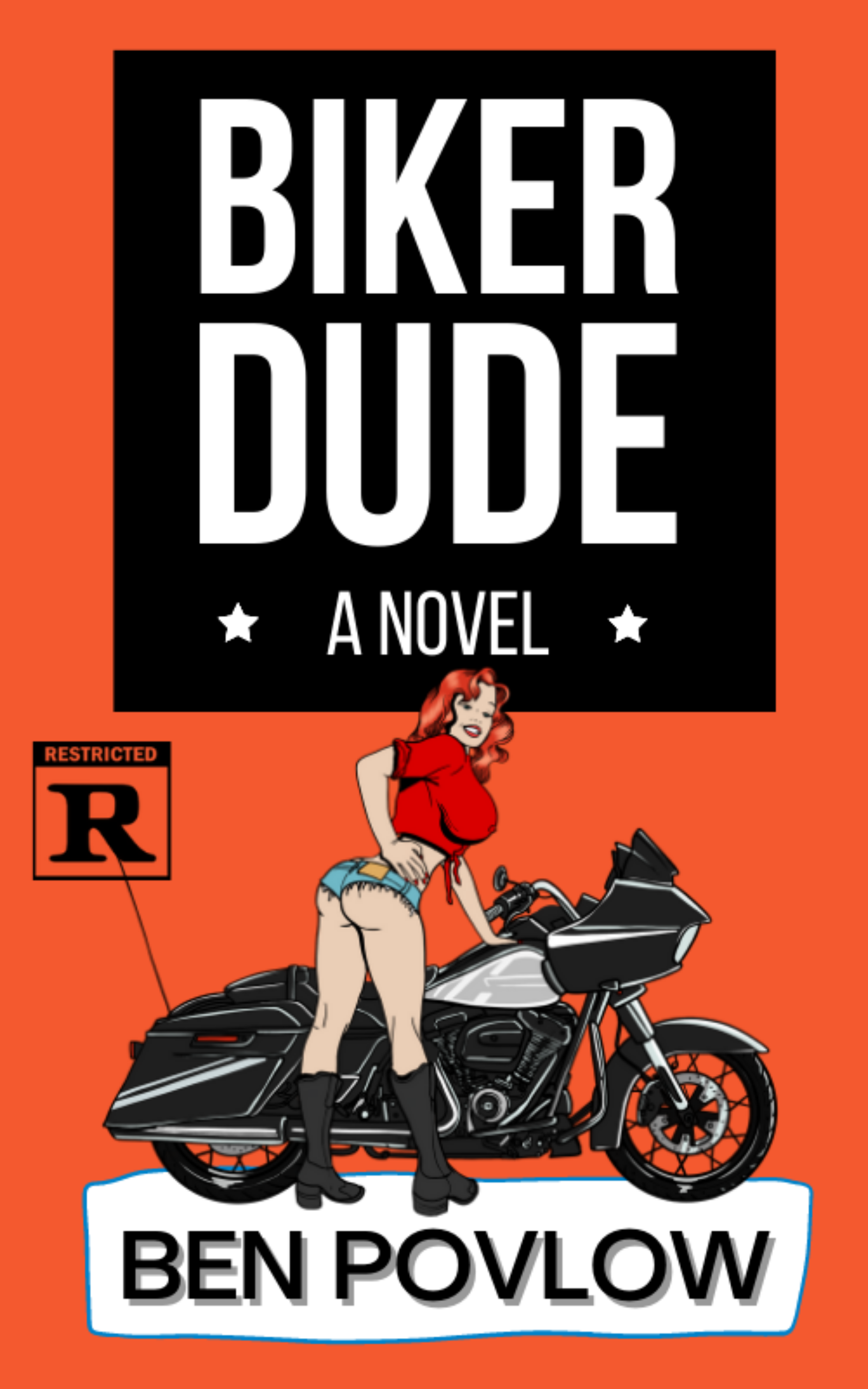 Biker Dude: A Motorcycle Rally Adventure Story book cover